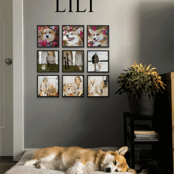 Lili Black Image 768x1024