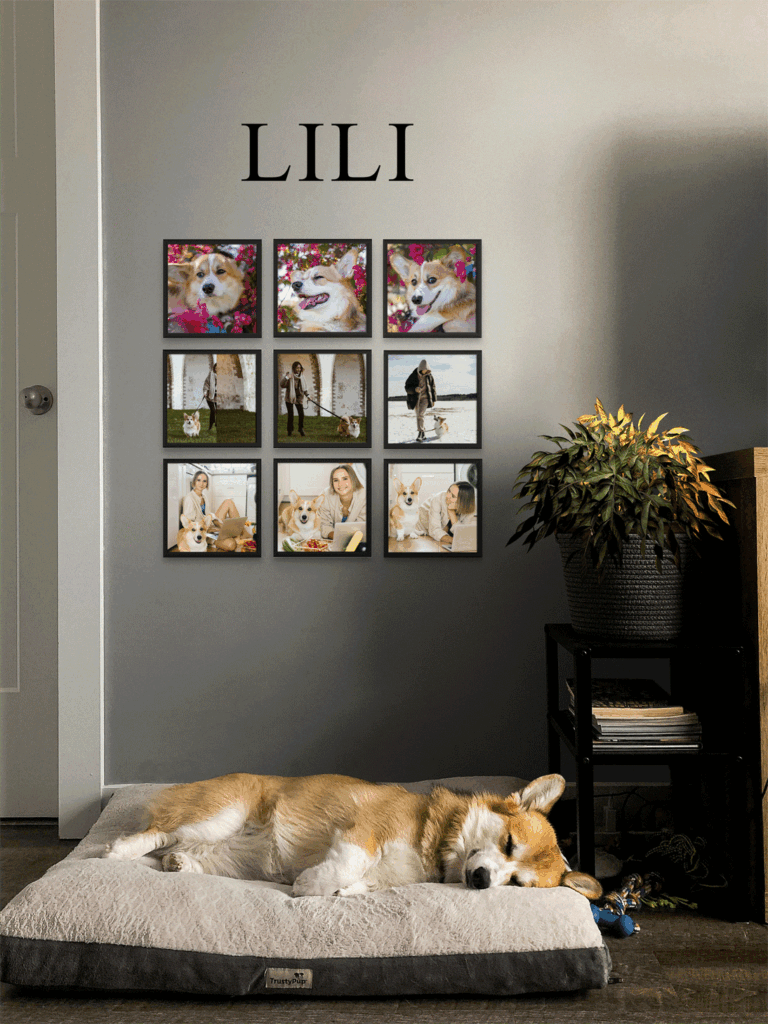 9 Photo Tiles - Customisable Wall Gallery 1 Lili Black Image 768x1024